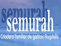 logo Semurah
